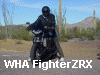 WHA Fighter ZRX 1100 